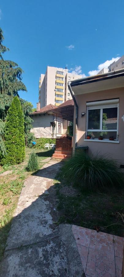 Garden Lägenhet Satu Mare Exteriör bild
