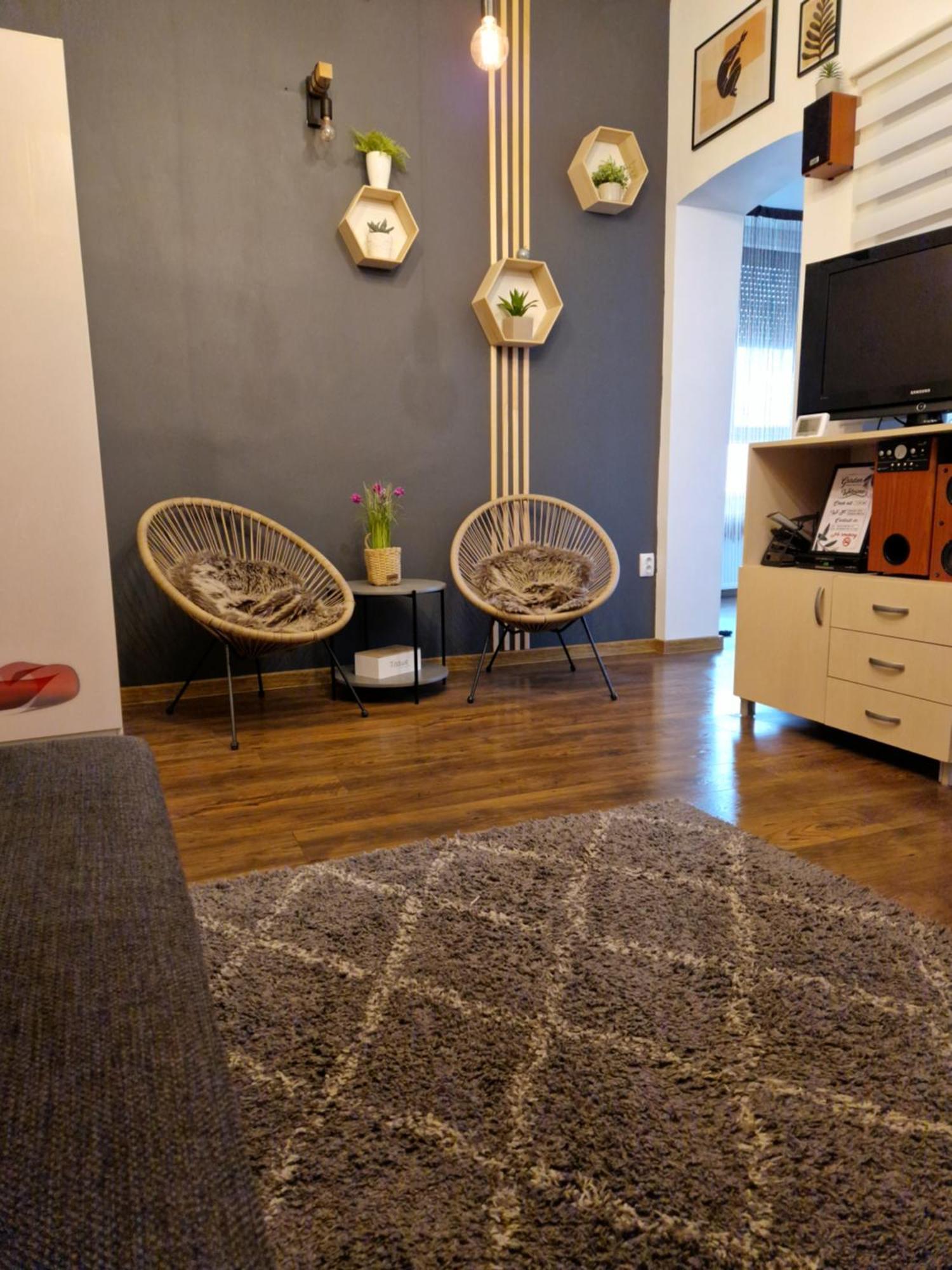 Garden Lägenhet Satu Mare Exteriör bild